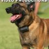 Remote Collar Training for Pet Owners DVD Review