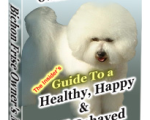 Bichon Frise Dog Ebook And Audio Package