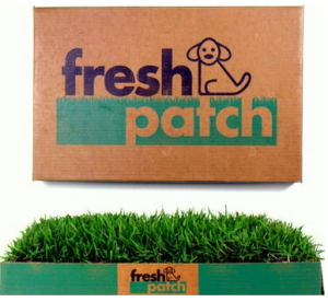 fresh_patch_review